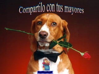 Compartilo con tus mayores 