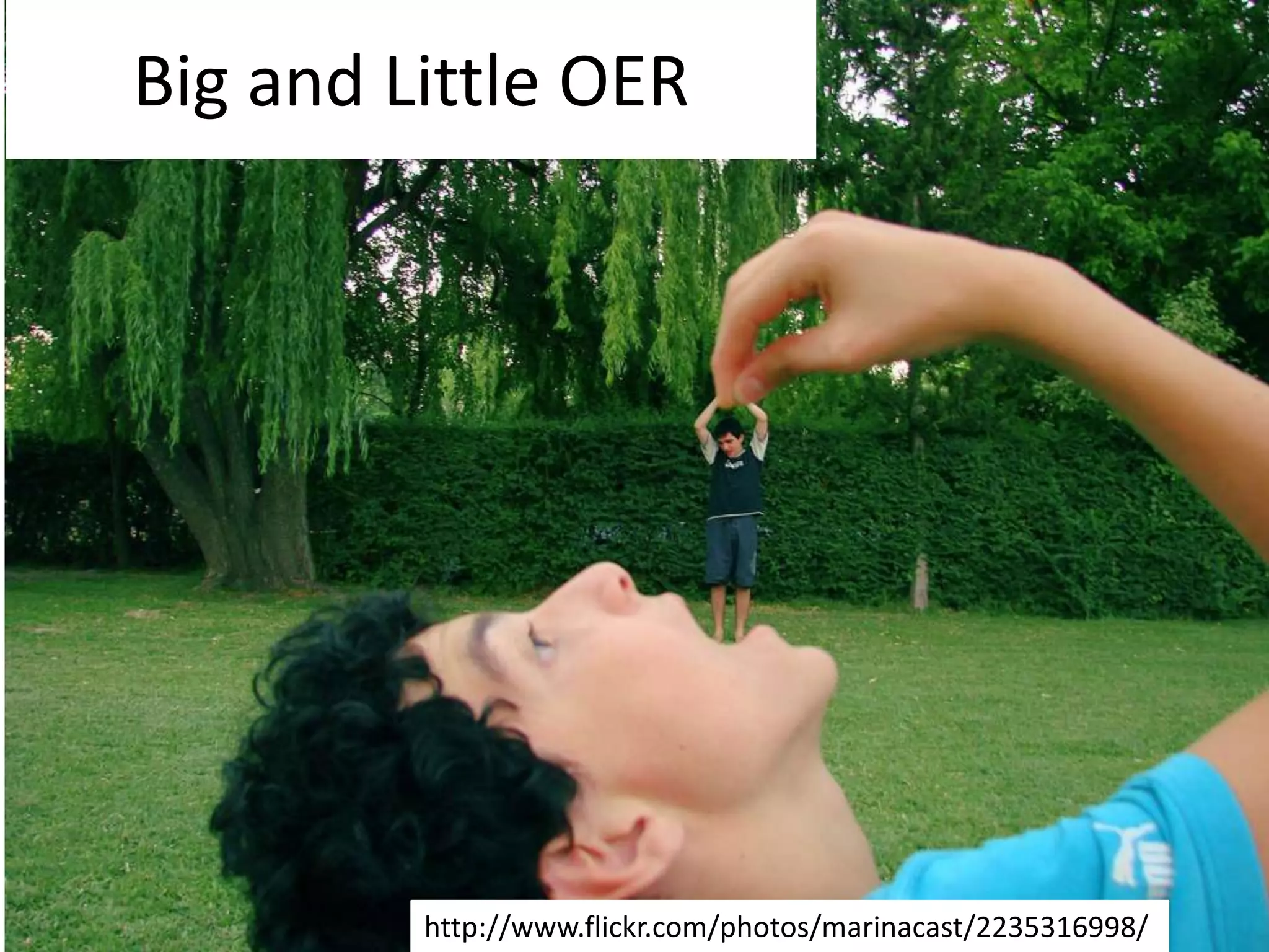 Big and Little OERhttp://www.flickr.com/photos/marinacast/2235316998/
