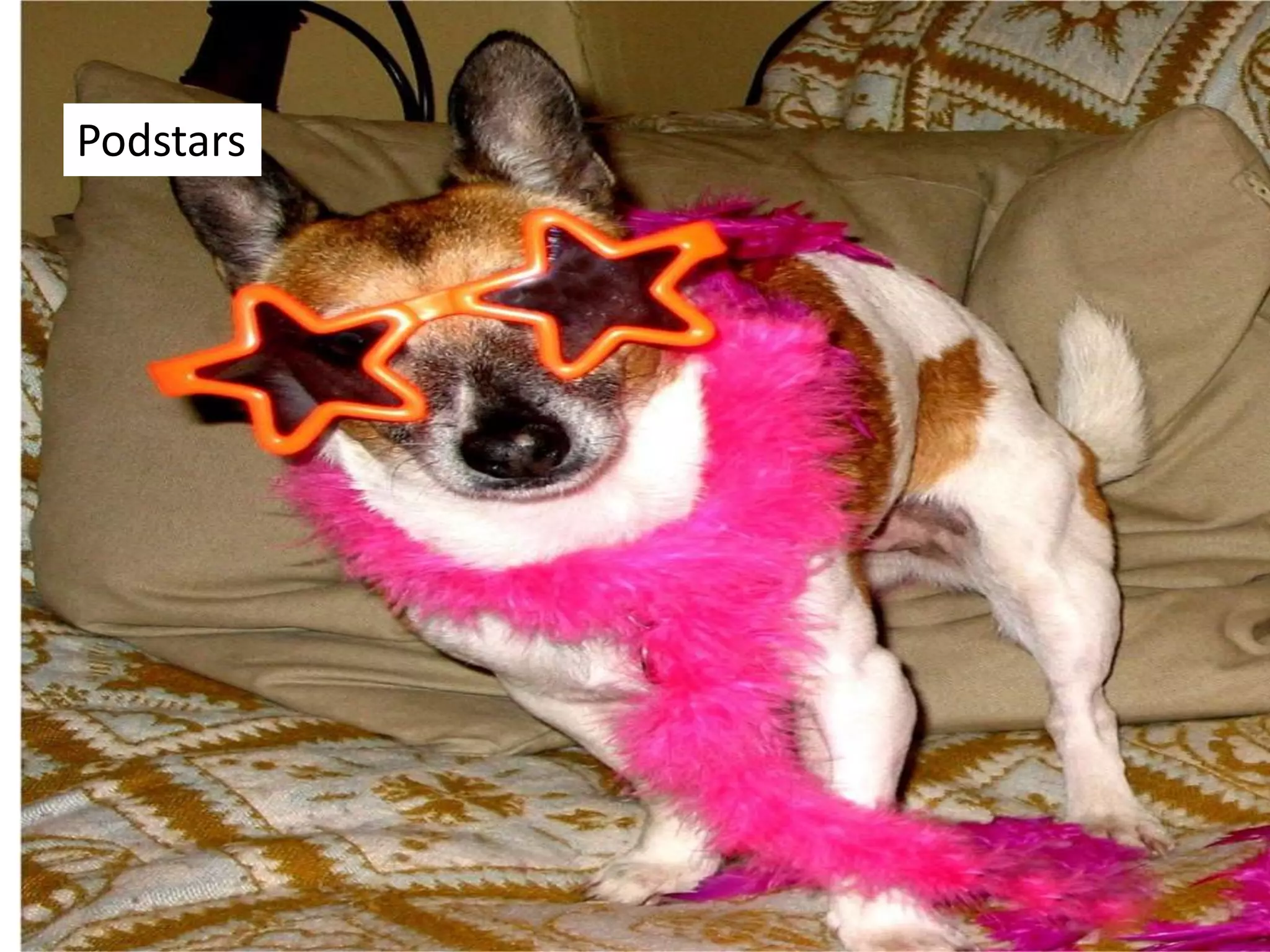 Podstars