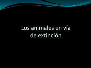 Los animales en vía de extinción  