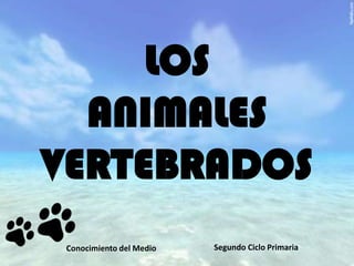 Conocimiento del Medio Segundo Ciclo Primaria
LOS
ANIMALES
VERTEBRADOS
 