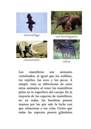  Los animales mamiferos