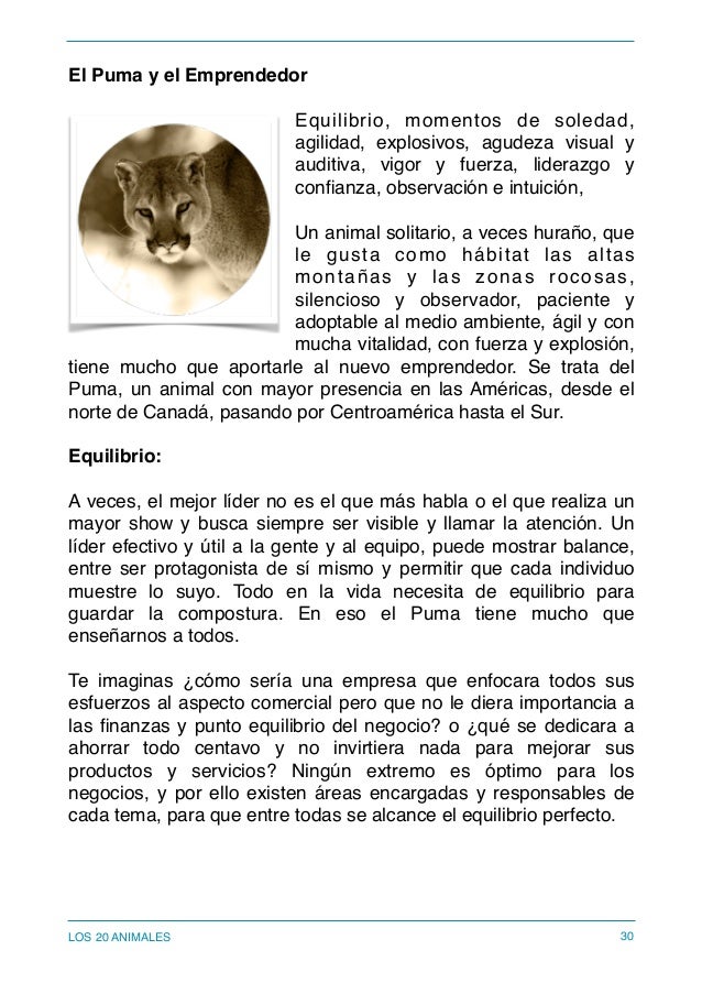 Los 20 Animales Con Actitud De Emprendedor Por Saenz