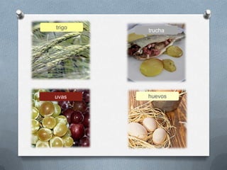 huevos
trucha
trigo
uvas
 