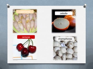champiñones
cerezas
cebolla
calamares
 