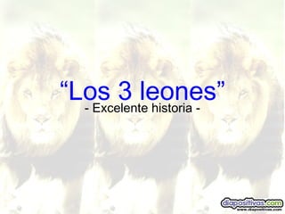 “Los 3 leones”- Excelente historia -
 