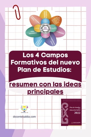Los 4 Campos
Formativos del nuevo
Plan de Estudios:
resumen con las ideas
principales
docentesaldia.com
 