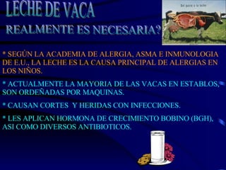 * SEGÚN LA ACADEMIA DE ALERGIA, ASMA E INMUNOLOGIA  DE E.U., LA LECHE ES LA CAUSA PRINCIPAL DE ALERGIAS EN LOS NIÑOS. * ACTUALMENTE LA MAYORIA DE LAS VACAS EN ESTABLOS, SON ORDEÑADAS POR MAQUINAS. * CAUSAN CORTES  Y HERIDAS CON INFECCIONES. * LES APLICAN HORMONA DE CRECIMIENTO BOBINO (BGH), ASI COMO DIVERSOS ANTIBIOTICOS. LECHE DE VACA REALMENTE ES NECESARIA? 