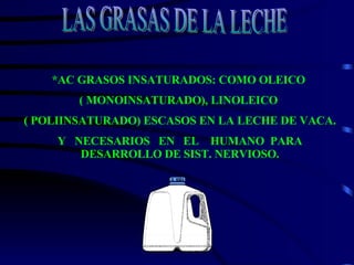 LAS GRASAS DE LA LECHE *AC GRASOS INSATURADOS: COMO OLEICO  ( MONOINSATURADO), LINOLEICO  ( POLIINSATURADO) ESCASOS EN LA LECHE DE VACA. Y  NECESARIOS  EN  EL  HUMANO  PARA DESARROLLO DE SIST. NERVIOSO. 