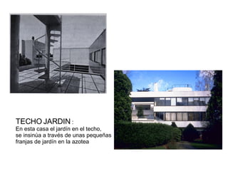 TECHO   JARDIN  : En esta casa el jardín en el techo, se insinúa a través de unas pequeñas  franjas de jardín en la azotea 