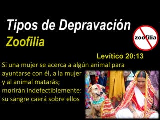 Tipos de Depravación
Zoofilia
Levítico 20:13
Si una mujer se acerca a algún animal para
ayuntarse con él, a la mujer
y al animal matarás;
morirán indefectiblemente:
su sangre caerá sobre ellos
 
