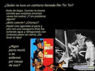 Nada de dogui. Comían la misma
comida que nosotros (muchas
veces los restos) ¡Y sin problema
alguno!
¿Baño caliente? ¿Champú?
¡Nada! Uno agarraba al perro y
otro con una manguera (fría) iba
echando agua y refregandolo con
(créanlo) jabón (en barra) ¡De
lavar la ropa!
¿Algún
perro murió
o se
enfermó
por causa
de eso?
¿Quién no tuvo un cachorro llamado Rin Tin Tin?
 