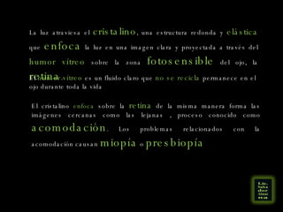La luz atraviesa el  cristalino , una estructura redonda y  elástica  que  enfoca  la luz en una imagen clara y proyectada a través del  humor vítreo  sobre la zona  fotosensible  del ojo, la  retina .  El  humor vítreo  es un fluido claro que  no se recicla  permanece en el ojo durante toda la vida El cristalino  enfoca  sobre la  retina  de la misma manera forma las imágenes cercanas como las lejanas , proceso conocido como  acomodación . Los problemas relacionados con la acomodación causan  miopía  o  presbiopía   