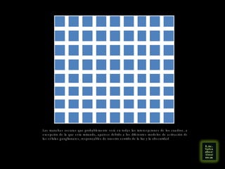 Las manchas oscuras que probablemente verá en todas las intercepciones de los cuadros, a excepción de la que esta mirando, aparece debido a los diferentes modelos de activación de las células ganglionares, responsables de nuestro sentido de la luz y la obscuridad 