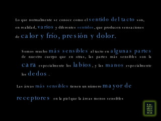 Lo que normalmente se conoce como el  sentido del tacto  son, en realidad,  varios  y diferentes  sentidos , que producen sensaciones de  calor y frío, presión y dolor. Somos mucho  más sensibles  al tacto en  algunas partes  de nuestro cuerpo que en otras, las partes más sensibles son la  cara  especialmente los  labios , y las  manos  especialmente los  dedos  . Las áreas  más sensibles  tienen un número  mayor de receptores   en la piel que la áreas menos sensibles  