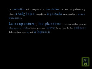 La  endorfina  más pequeña, la  encefalina , resulta un poderoso y eficaz  analgésico  cuando es  inyectada  en animales o  seres humanos . La acupuntura  y  los placebos  son conocidos porque  bloquean el dolor . Estos parecen  activar  la acción de los  opiáceos  del cerebro, pero  no  así  la hipnosis .  