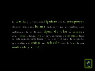 La  teoría  estereoquímica  siguiere  que los  receptores  olfatorios tienen una  forma  particular y que las combinaciones moleculares de los diversos  tipos de olor  se  acoplan  a estas  formas . Aunque  no  se haya encontrado  evidencia  firme de esta relación entre forma y  del olor y el punto de recepción, parece claro que  existe  una  relación  entre la  forma  de una  molécula y su olor 