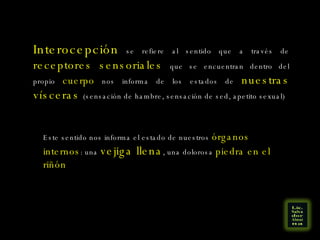 Interocepción  se refiere al sentido que a través de  receptores sensoriales  que se encuentran dentro del propio  cuerpo  nos informa de los estados de  nuestras vísceras  (sensación de hambre, sensación de sed, apetito sexual) Este sentido nos informa el estado de nuestros  órganos internos : una  vejiga llena , una dolorosa  piedra en el riñón 