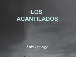 LOS  ACANTILADOS Luis  Tamargo . 