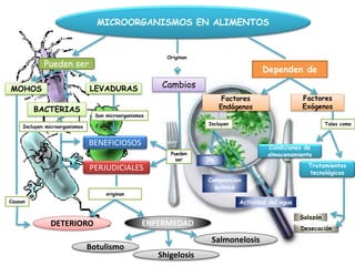 Los alimentos y los microorganismos | PPTX