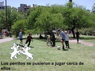 Los perritos se pusieron a jugar cerca de ellos …  