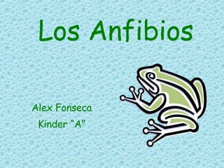 Los Anfibios Alex Fonseca Kinder “A” 