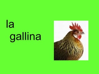 la gallina 