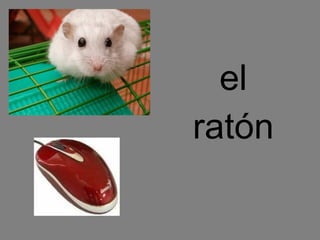 el ratón 