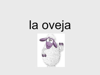 la oveja 