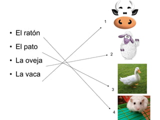 El ratón El pato La oveja La vaca 1 2 3 4 