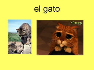 el gato 