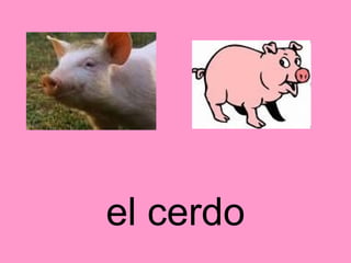 el cerdo 