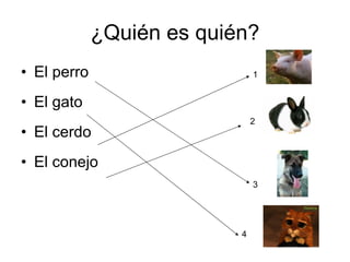 ¿Quién es quién? El perro El gato El cerdo El conejo 1 2 3 4 