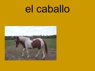 el caballo 
