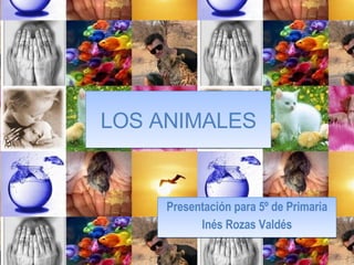 LOS ANIMALES Presentación para 5º de Primaria Inés Rozas Valdés 
