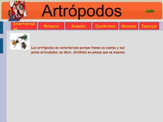 Artrópodos Los artrópodos se caracterizan porque tienen su cuerpo y sus patas articulados, es decir, divididos en piezas que se mueven. Invertebrados Moluscos Gusanos Equidermos Medusas Esponjas Salir 