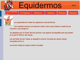 Equidermos Los equinodermos tienen las siguientes características: Son animales marinos con simetría radial, como la que tienen la rueda de una bicicleta o una margarita. Se desplazan por el fondo del mar gracias a una especie de pequeños pies que poseen en la parte inferior del cuerpo.  Las estrellas de mar tienen un esqueleto externo formado por placas calizas encajadas entre si.  Los erizos tienen el cuerpo cubierto de púas . Invertebrados Artrópodos Moluscos Gusanos Medusas Esponjas Salir 
