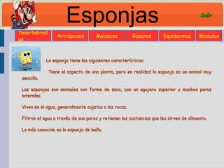 Esponjas La esponja tiene las siguientes características: Tiene el aspecto de una planta, pero en realidad la esponja es un animal muy sencillo. Las esponjas son animales con forma de saco, con un agujero superior y muchos poros laterales.  Viven en el agua, generalmente sujetas a las rocas. Filtran el agua a través de sus poros y retienen las sustancias que les sirven de alimento.  La más conocida es la esponja de baño. Invertebrados Artrópodos Moluscos Gusanos Equidermos Medusas Salir 