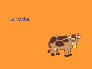 La vache