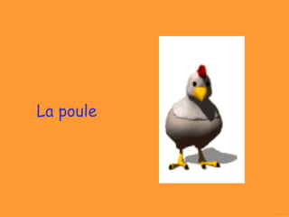 La poule