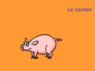 Le cochon