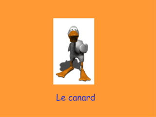 Le canard
