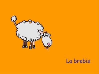 La brebis