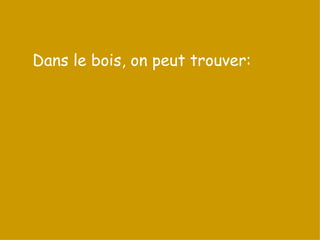 Dans le bois, on peut trouver: 