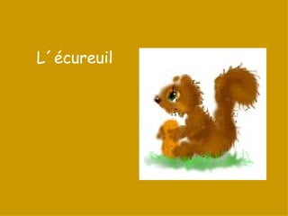 L´écureuil