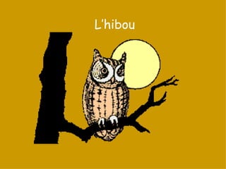 L’hibou