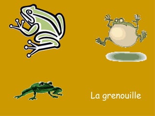 La grenouille