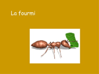 La fourmi 