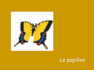 Le papillon