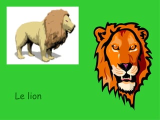 Le lion